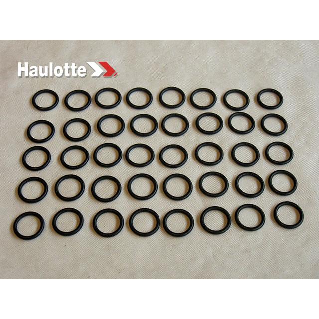 Haulotte Part # 2505001210 - SEAL