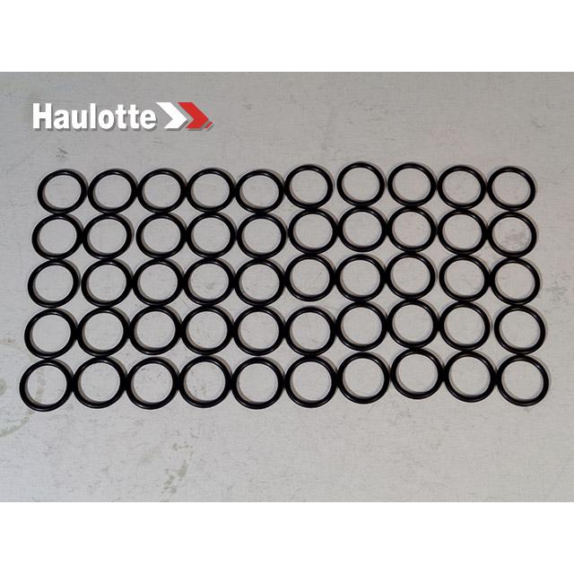Haulotte Part # 2505001220 - SEAL