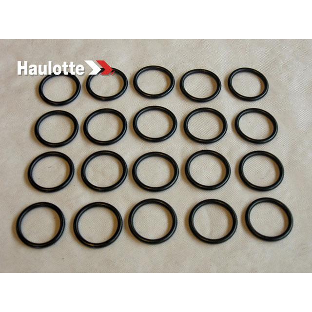 Haulotte Part # 2505001230 - SEAL
