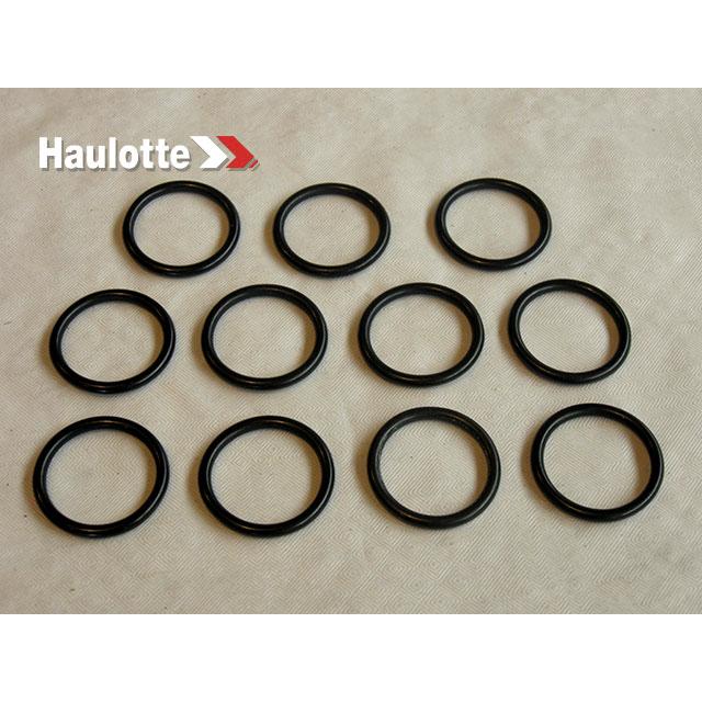 Haulotte Part # 2505001240 - SEAL