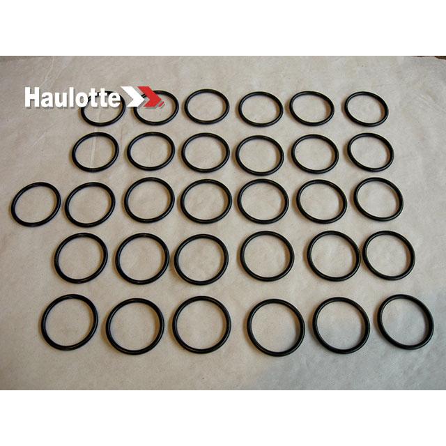 Haulotte Part # 2505001250 - SEAL