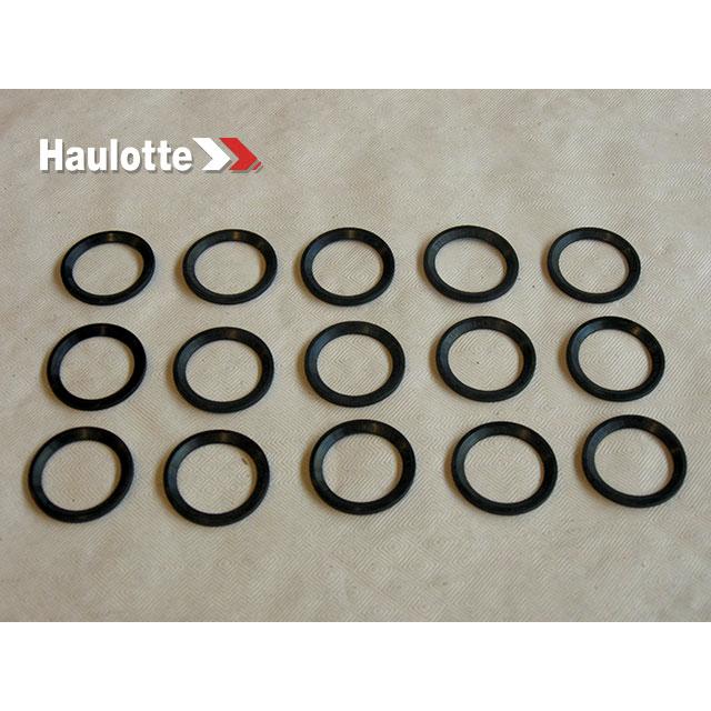 Haulotte Part # 2505001270 - SEAL