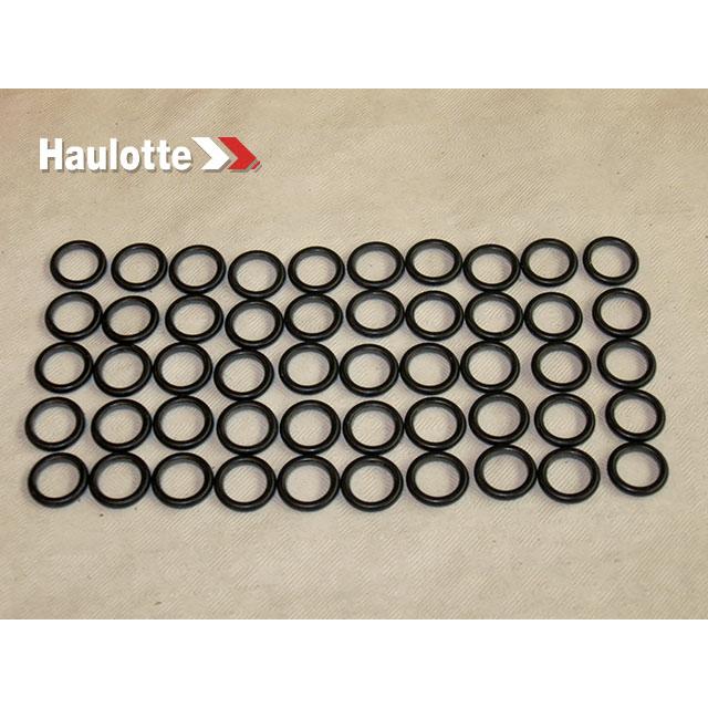 Haulotte Part # 2505001280 - SEAL