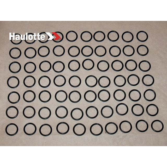 Haulotte Part # 2505001300 - SEAL