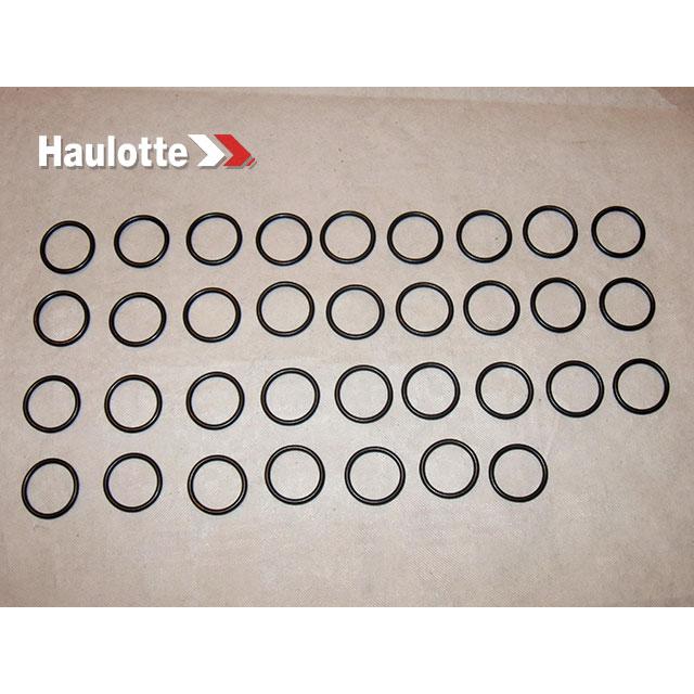 Haulotte Part # 2505001310 - SEAL