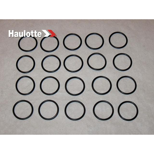 Haulotte Part # 2505001320 - SEAL