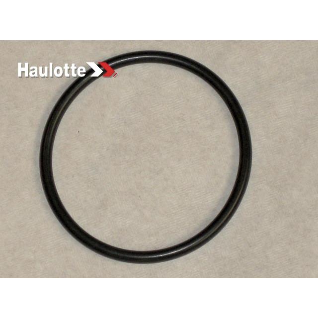 Haulotte Part # 2505002410 - SEALS KIT