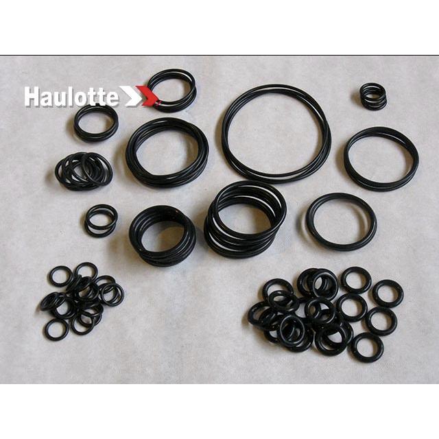 Haulotte Part # 2505003040 - SEALS KIT