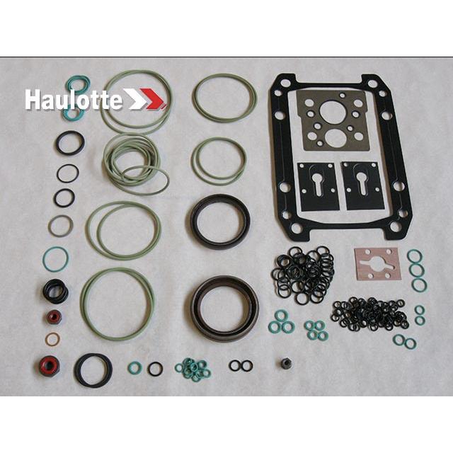 Haulotte Part # 2505003120 - SEAL KIT