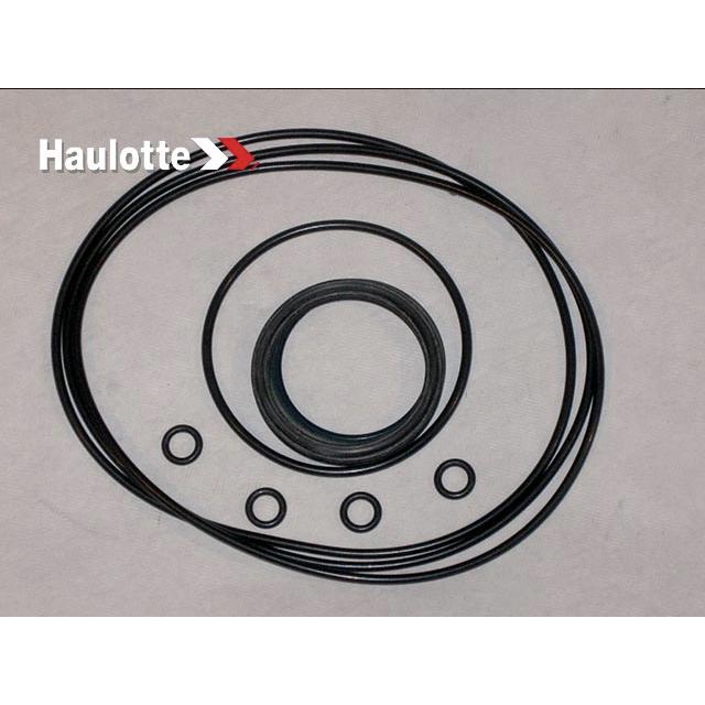 Haulotte Part # 2505003220 - SEALS KIT