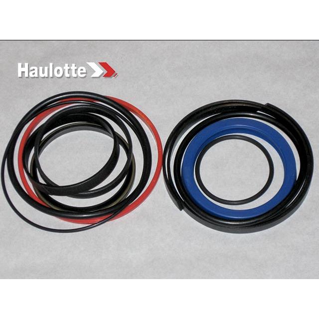 Haulotte Part # 2505003330 - SEALS KIT