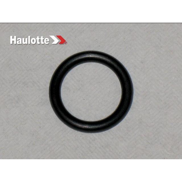 Haulotte Part # 2505003550 - SEALS KIT