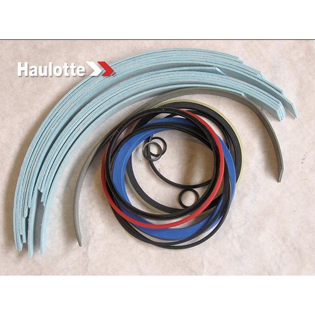 Haulotte Part # 2505003600 - SEAL KIT