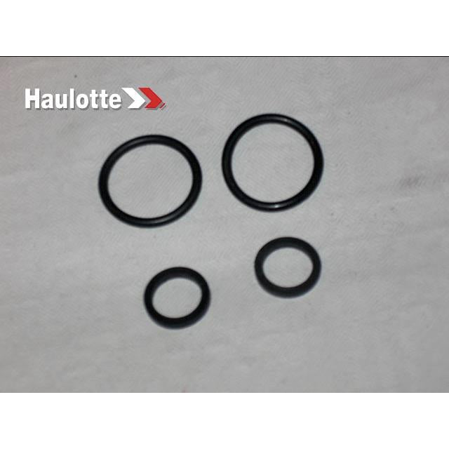 Haulotte Part # 2505004420 - SEAL KIT