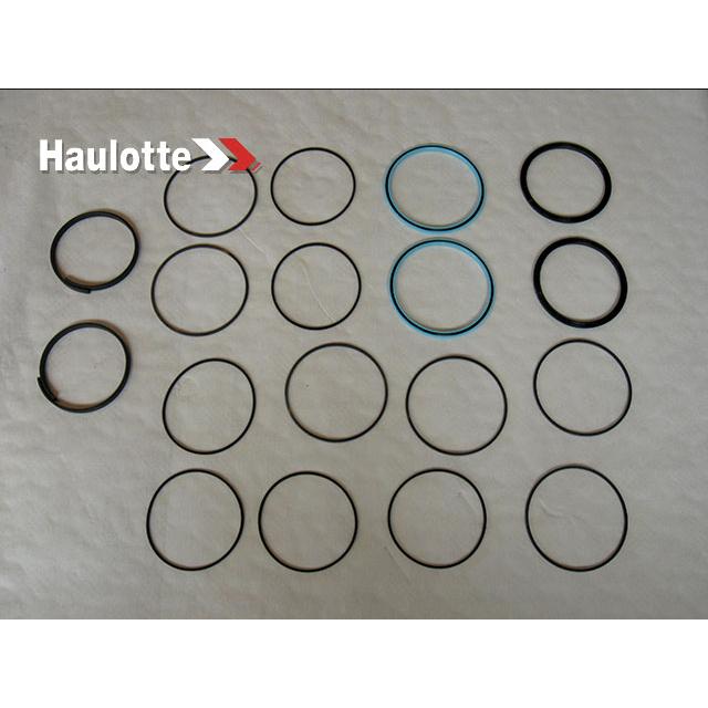 Haulotte Part # 2505004930 - SEAL KIT V2