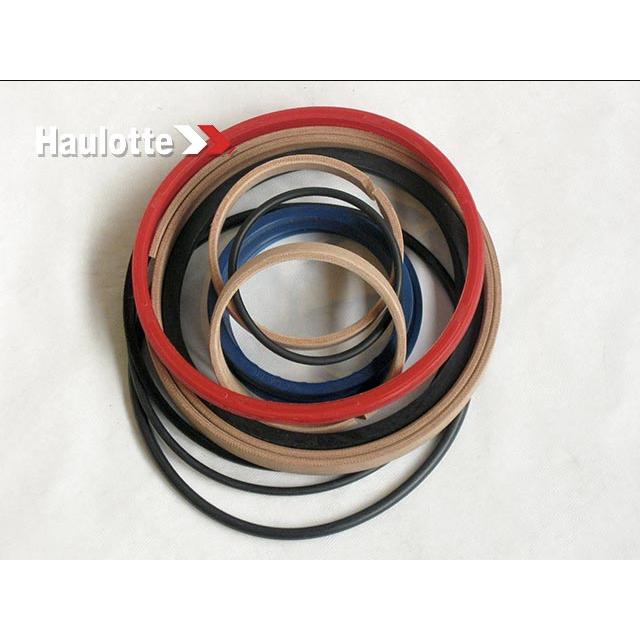 Haulotte Part # 2505005110 - SEAL KIT