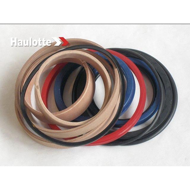 Haulotte Part # 2505005170 - SEEL KIT VERSION 2