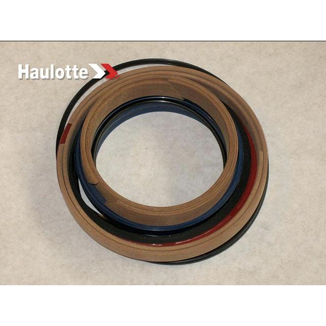 Haulotte Part # 2505005310 - SEAL KIT