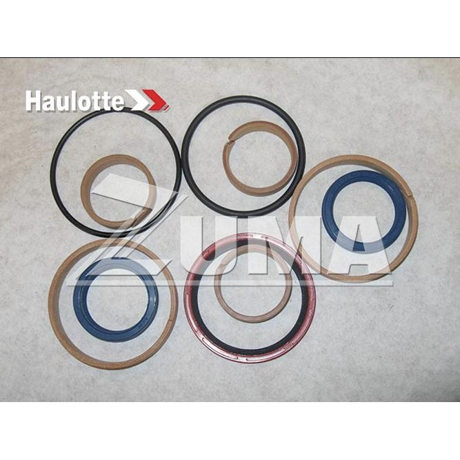 Haulotte Part # 2505005320 - SEAL KIT FL