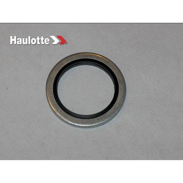 Haulotte Part # 2505005760 - WASHER