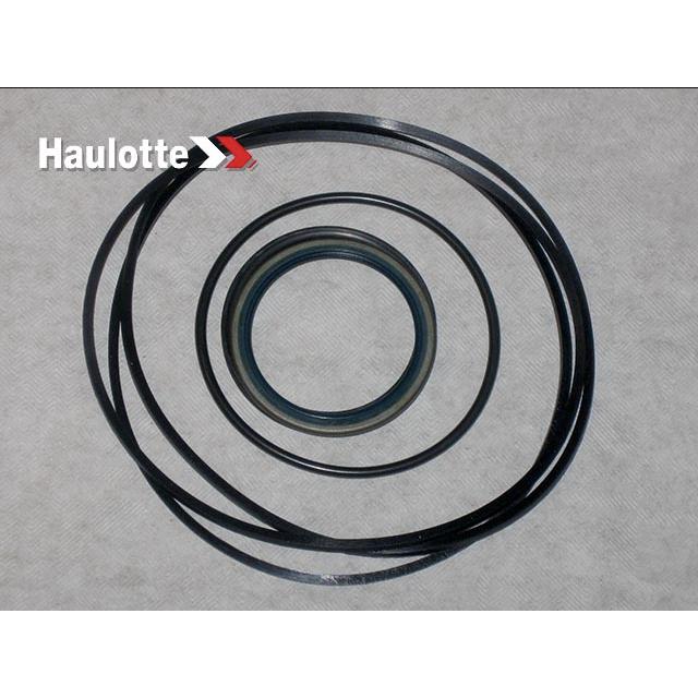 Haulotte Part # 2505006270 - SEALS KIT