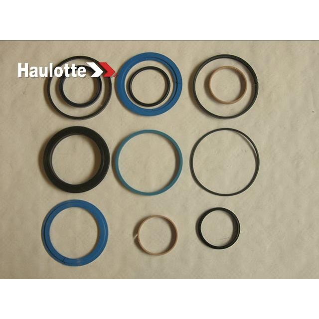 Haulotte Part # 2505006350 - SEAL