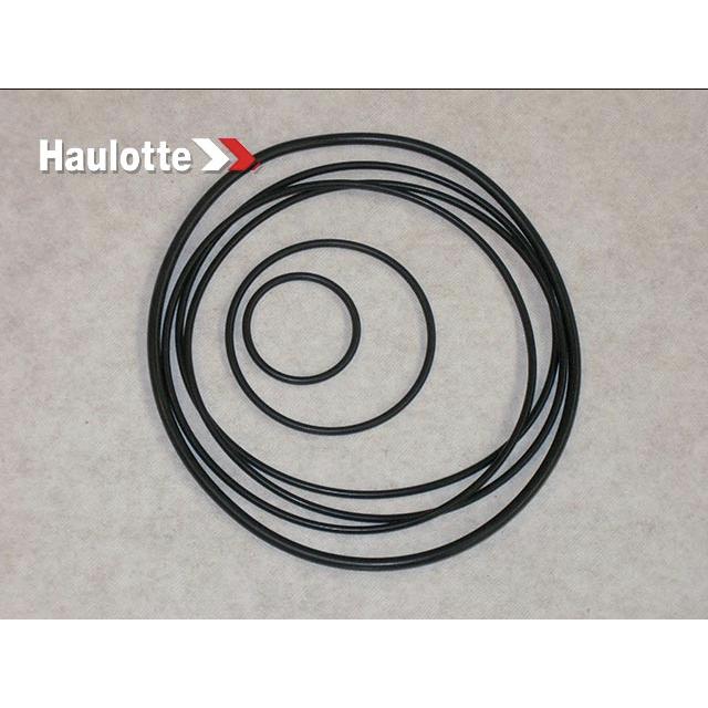 Haulotte Part # 2505006380 - SEAL