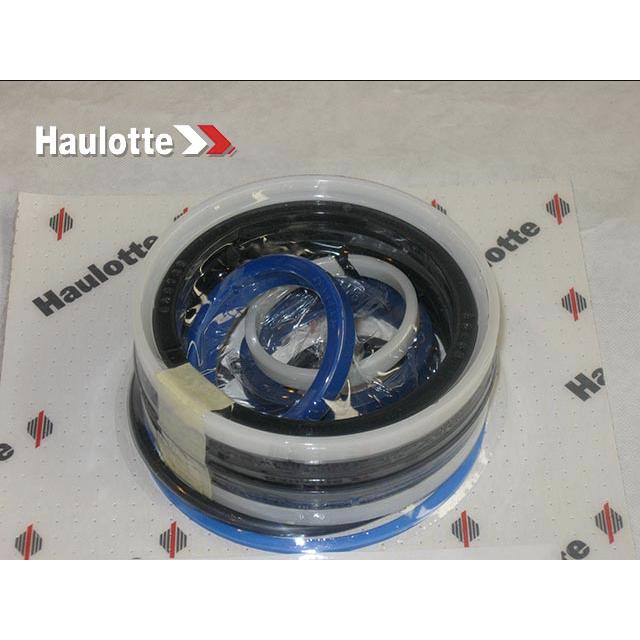 Haulotte Part # 2505006530 - SEALS KIT