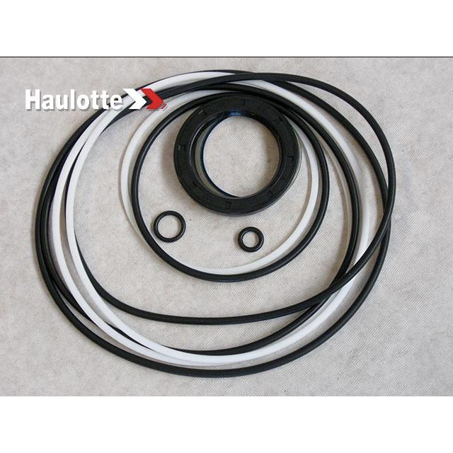 Haulotte Part # 2505006600 - SEALS KIT