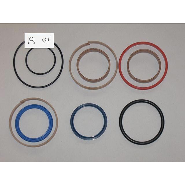 Haulotte Part # 2505006750 - SEAL KIT