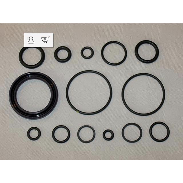 Haulotte Part # 2505007030 - SEALS KIT