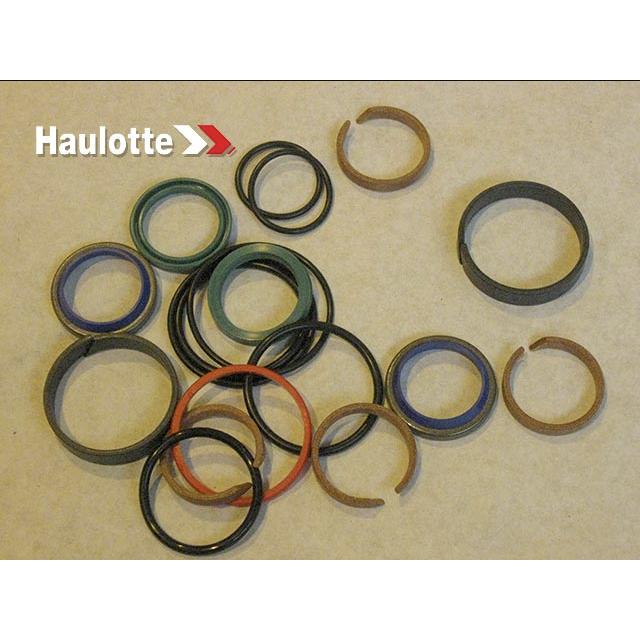 Haulotte Part # 2505007130 - SEAL
