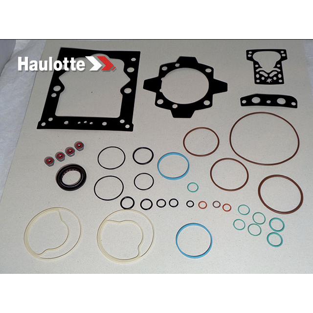 Haulotte Part # 2505008120 - SEALS KIT
