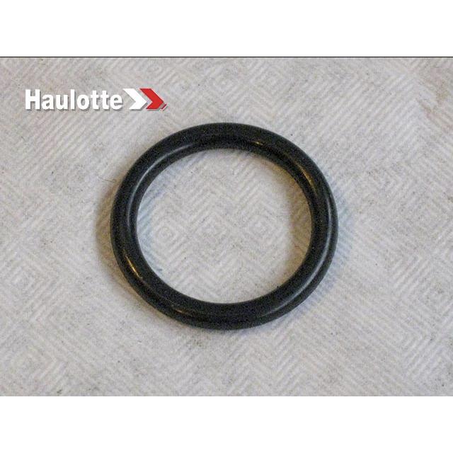 Haulotte Part # 2505008820 - SEAL