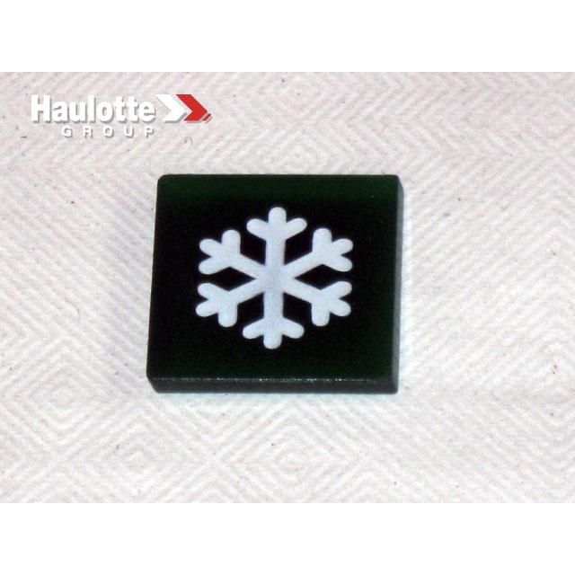 Haulotte Part # 2820302260 - CAP