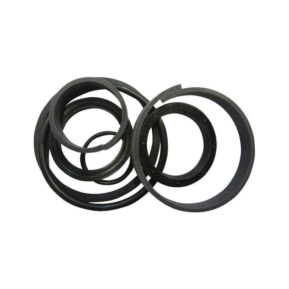 JLG Part # 2900394 - KIT. SEAL
