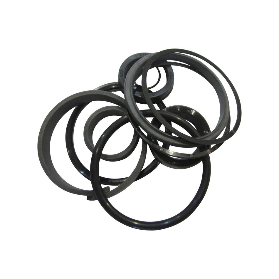 JLG Part # 2901132 - SEAL. KIT