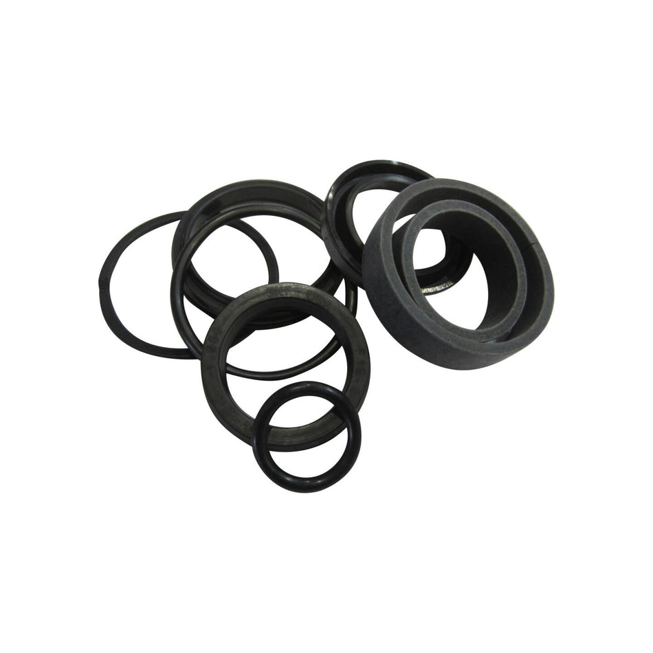 JLG Part # 2901208 - SEAL. KIT
