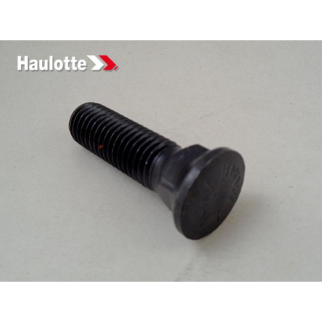 Haulotte Part # 4000207270 - SPECIAL SCREWS