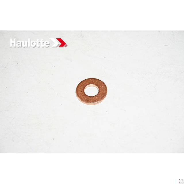 Haulotte Part # 4000310500 - PETROL INJECTOR