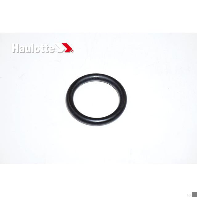 Haulotte Part # 4000310600 - GASKET