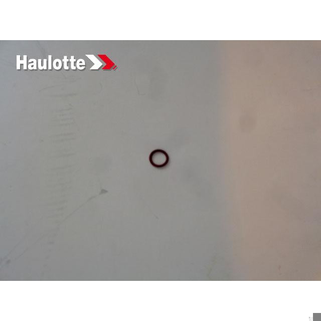Haulotte Part # 4000310750 - GASKET