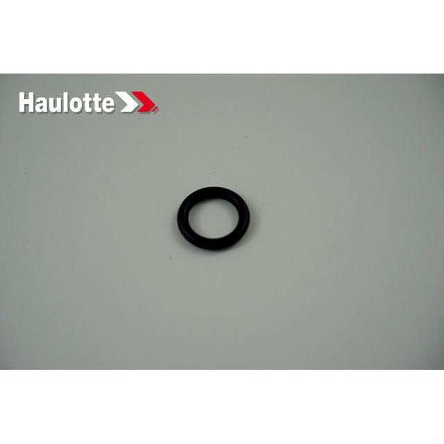 Haulotte Part # 4000310780 - GASKET