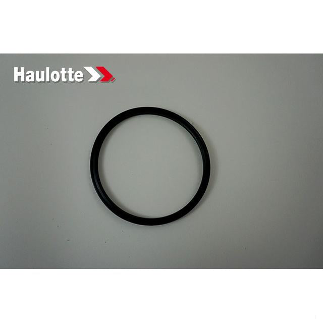 Haulotte Part # 4000355740 - WATER PUMP-RING