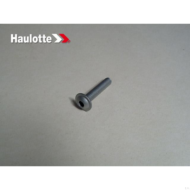 Haulotte Part # 4000468790 - SCREW TCBLZ M6X30 30 10 9