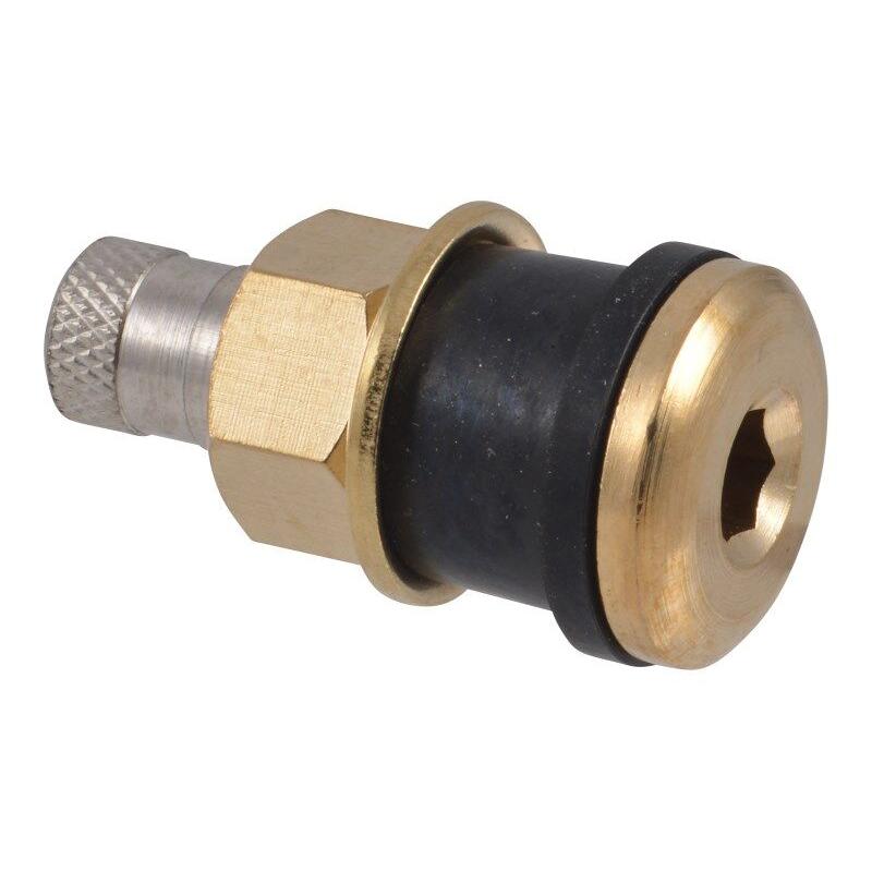 JLG Part # 4640113 - VALVE. TIRE