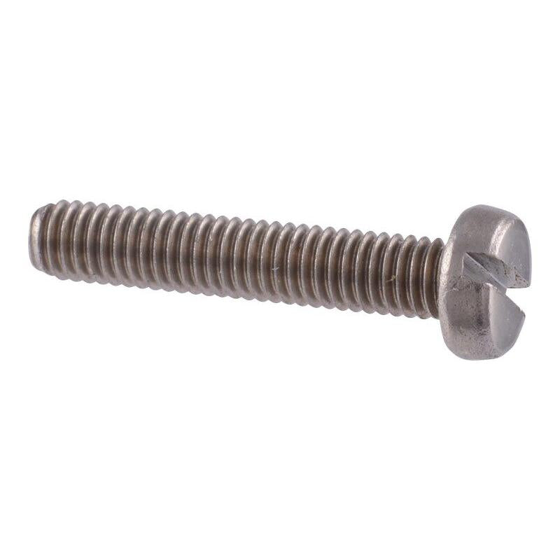 JLG Part # 70004751 - SCREW. STAINLESS CHEESE HEAD