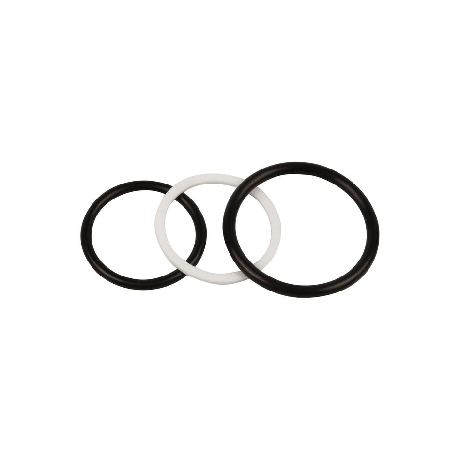 JLG Part # 70020799 - SEAL KIT. CHECK VALVE