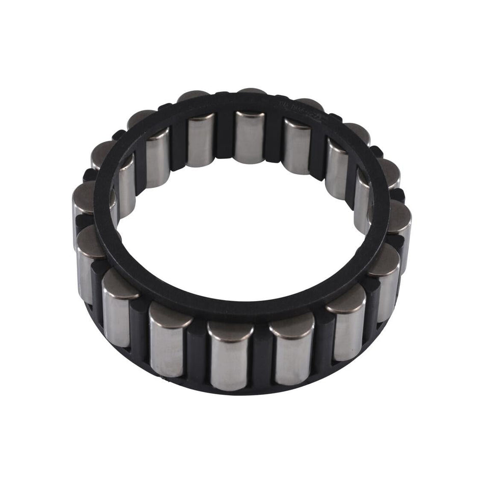 JLG Part # 70021228 - ROLLER CAGE