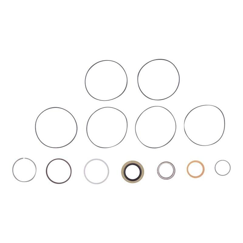 JLG Part # 7005881 - SEAL KIT